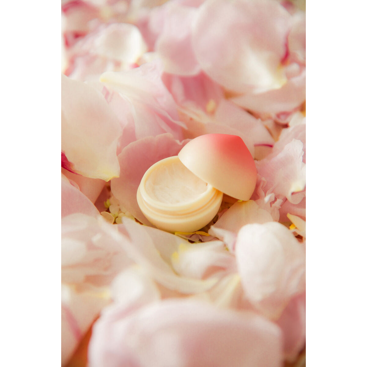 V4H8E4FCFDAB2FE51397F3C85D04D6D8782R4975610P3