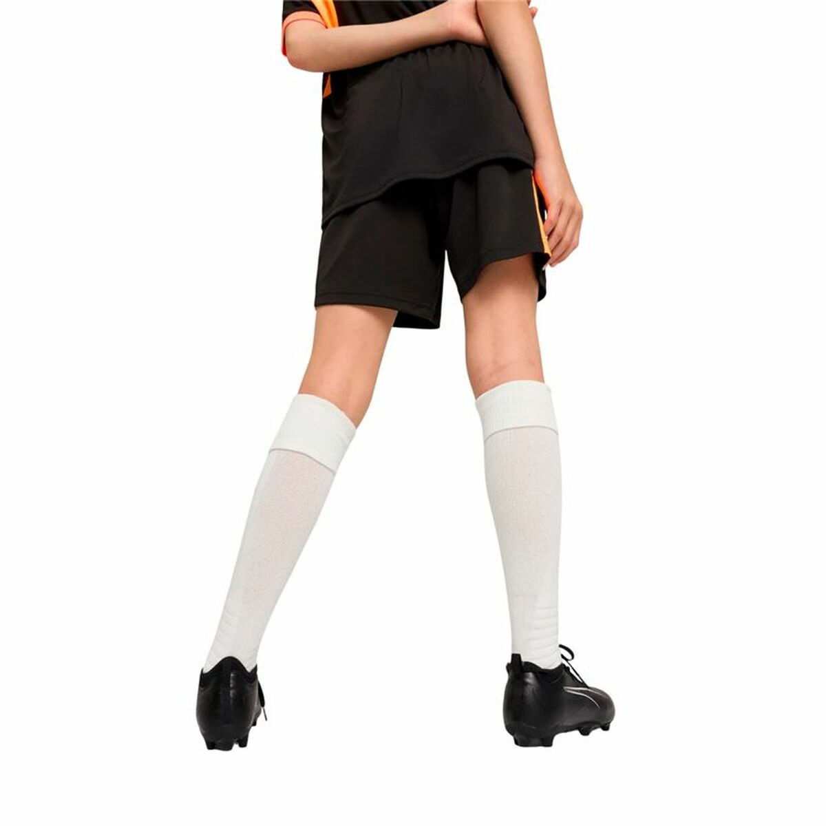 V3HF59A81C5635BB7A873EDAD8EEE281074R6086357P4