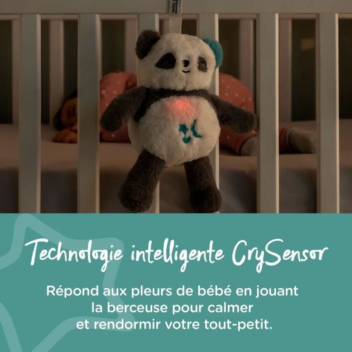 V5H2F377DAFC3AC81F4C101F05CDF98A86ER3365161P4