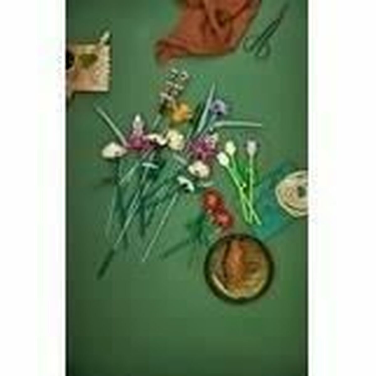 V8H139D85CB74F815A3666228443B08C558R6426599P6