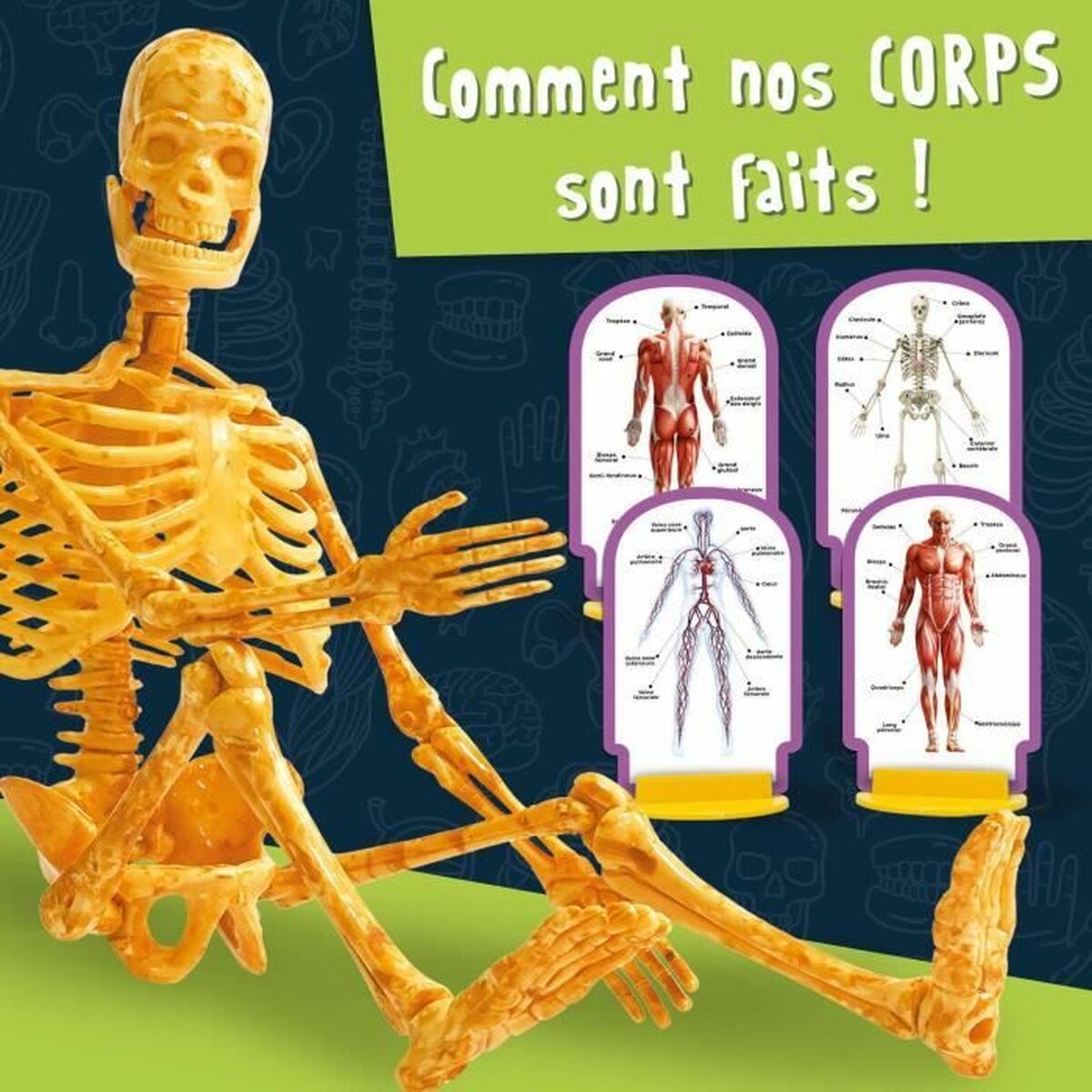 V3H40BA5568BBBBABD4CD97224EDC8A1B4DR5766848P3