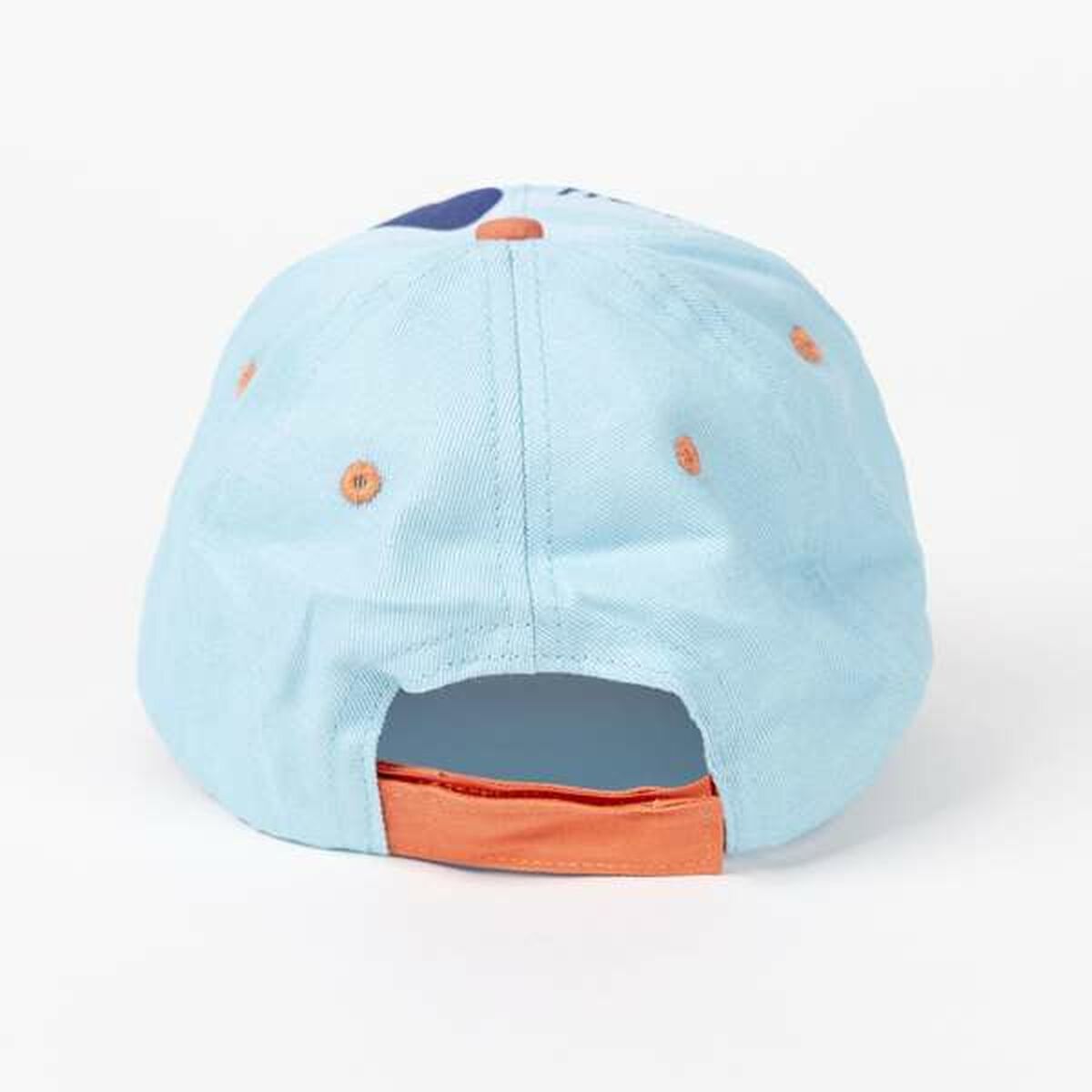 V10H7BAF734D8C36A6BDC93445EB3AC421C5R7342490P3