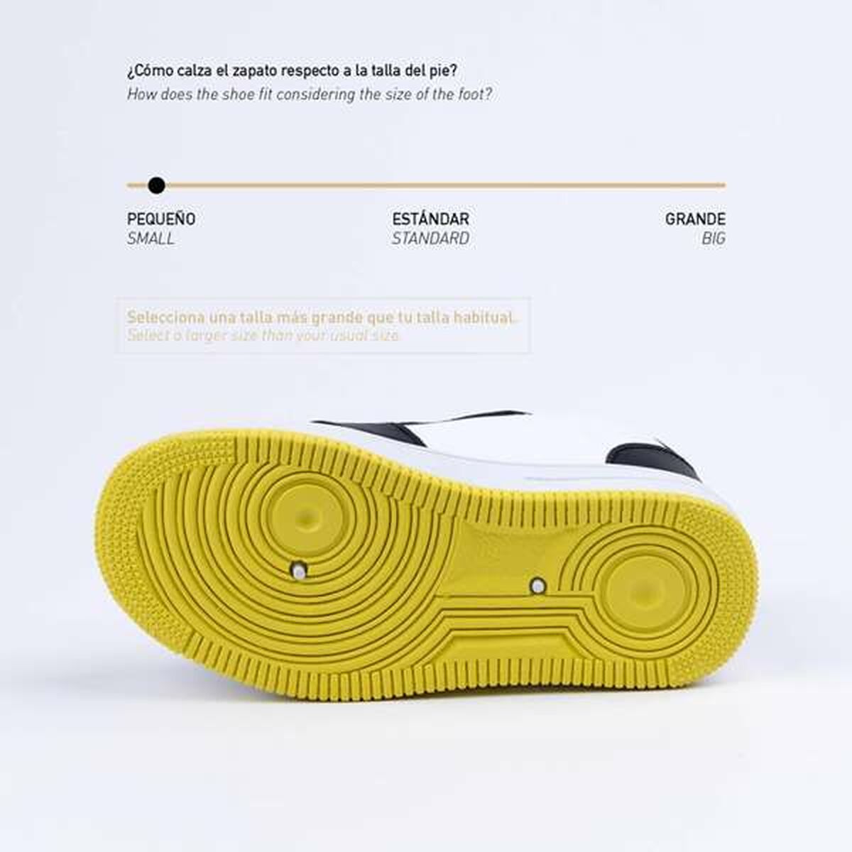 V5H4EA198CBE73B1D2F0EC1C80FD77E2D19R7262279P3