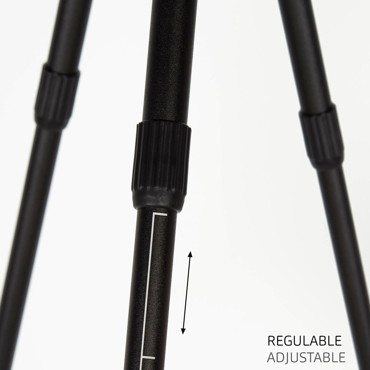 V3H1D0DBBEAE71A533ECE2E1F274C2C46A8R5649350P4